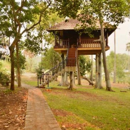 Isola Di Cocco Ayurvedic Beach Resort Poovar Экстерьер фото