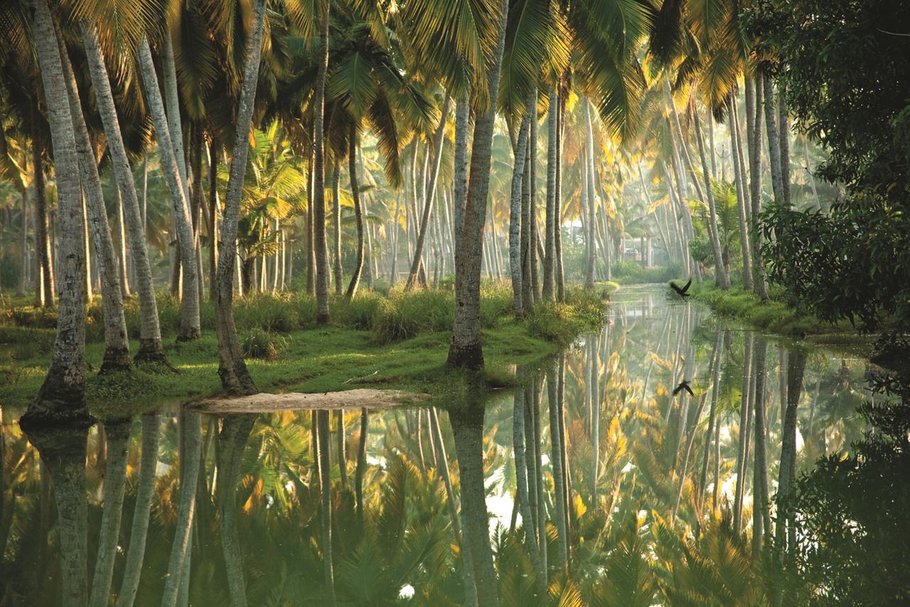 Isola Di Cocco Ayurvedic Beach Resort Poovar Экстерьер фото