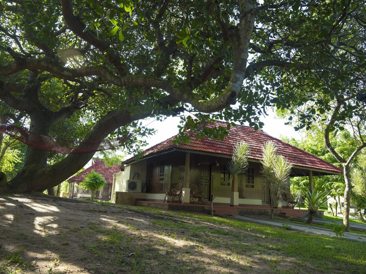 Isola Di Cocco Ayurvedic Beach Resort Poovar Экстерьер фото