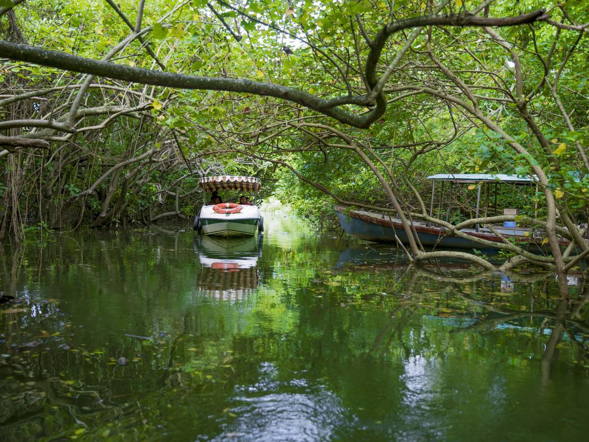 Isola Di Cocco Ayurvedic Beach Resort Poovar Экстерьер фото